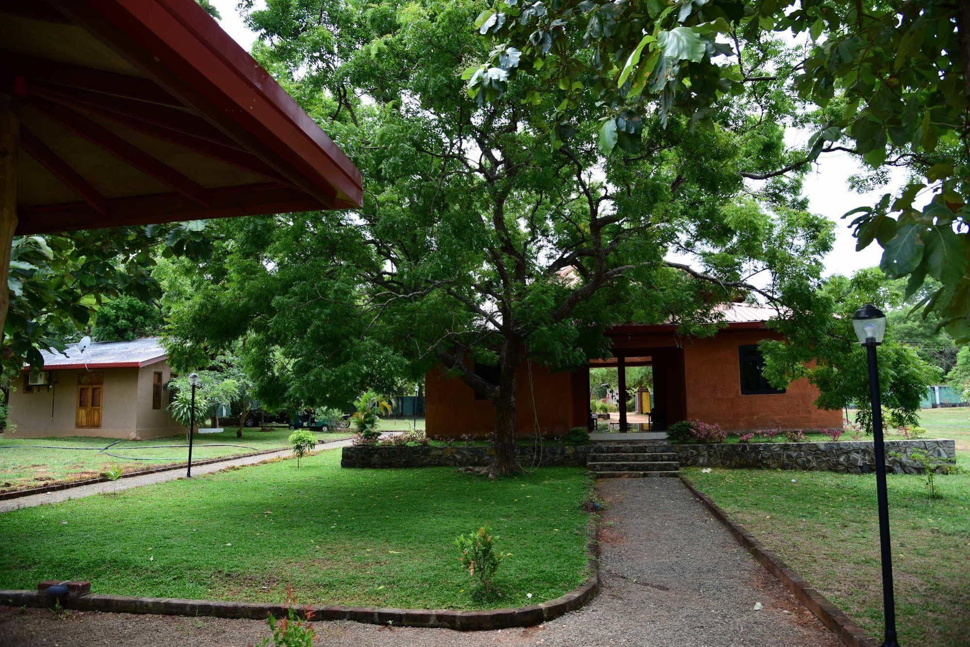 Indika Lake Resort Nuwarawewa East Exteriér fotografie